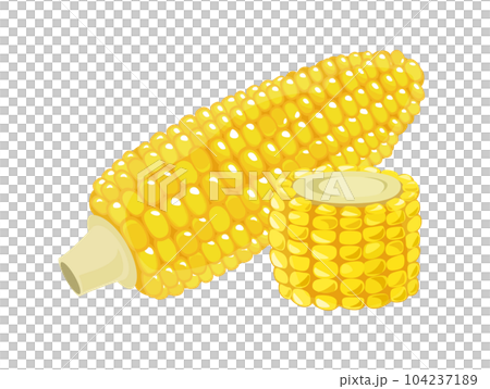 トウモロコシ 輪切り 野菜 アイコン イラスト素材 ベクター トウモロコシ 輪切り 野菜 アイコン イラスト素材 ベクター 104237189