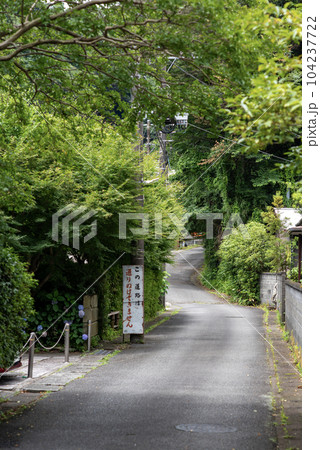 鎌倉6月 瑞泉寺2 鎌倉6月 瑞泉寺2 104237722