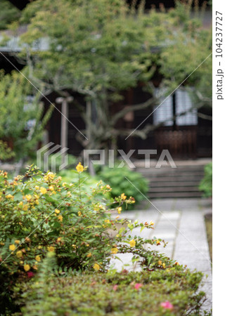 鎌倉6月 瑞泉寺7 鎌倉6月 瑞泉寺7 104237727
