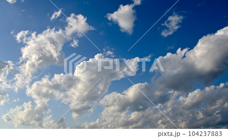 空素材 空素材 104237883