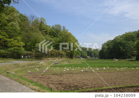 寺家ふるさと村の春景色 104238009