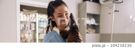 Asian veterinarian intern in blue uniform hugs tabby cat at table in clinic Asian veterinarian intern in blue uniform hugs tabby cat at table in clinic 104238230