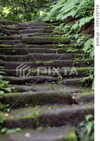 鎌倉6月 瑞泉寺17 鎌倉6月 瑞泉寺17 104238738