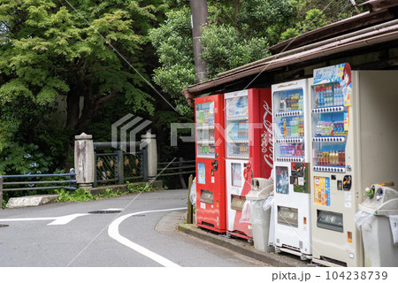 鎌倉6月 瑞泉寺20 鎌倉6月 瑞泉寺20 104238739
