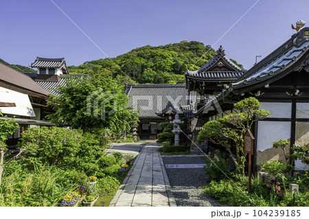 城下町龍野 如来寺 境内 兵庫県たつの市 城下町龍野 如来寺 境内 兵庫県たつの市 104239185