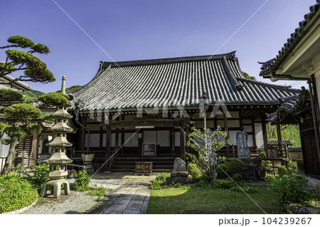 城下町龍野　如来寺　本堂　兵庫県たつの市 104239267