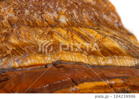 Macro mineral stone Tiger's eye in the breed on a white background 104239986
