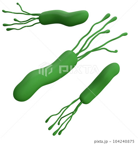 Helicobacter pylori bacteria 3d render realistic medicine icon for logo isolated with clipping path. Microbiology health human illustration Helicobacter pylori bacteria 3d render realistic medicine icon for logo isolated with clipping path. Microbiology health human illustration 104240875