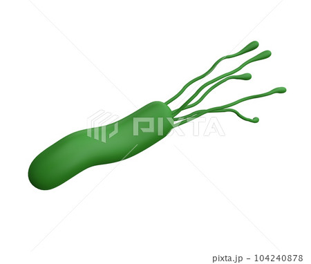 Helicobacter pylori bacteria 3d render realistic medicine icon for logo isolated with clipping path. Microbiology health human illustration Helicobacter pylori bacteria 3d render realistic medicine icon for logo isolated with clipping path. Microbiology health human illustration 104240878
