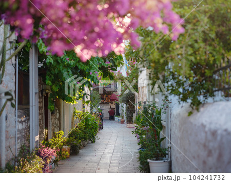 Blooming bougainvillea, streets of the old town of Bodrum, Turkey Blooming bougainvillea, streets of the old town of Bodrum, Turkey 104241732