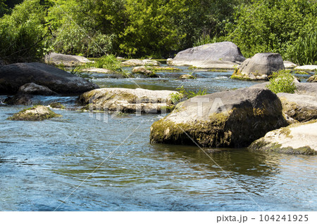 River stream rapids in beautiful summer in Ukraine 104241925