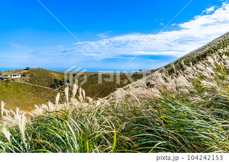 秋晴れの大室山火口5 静岡県伊東市 秋晴れの大室山火口5 静岡県伊東市 104242153