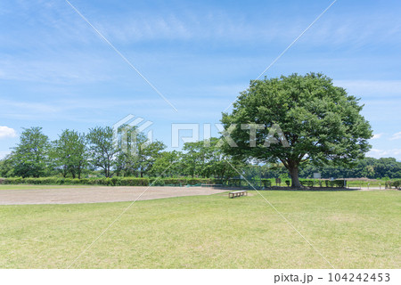 緑豊かな河川敷の芝生広場【グラウンド】 緑豊かな河川敷の芝生広場【グラウンド】 104242453
