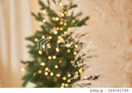 In the foreground is a fluffy dried flower. Blurred background with a Christmas tree on a beige background with space to copy. High quality photo 104242784