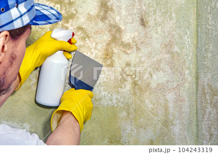A repairman with a spray gun and a spatula cleans mold and fungu A repairman with a spray gun and a spatula cleans mold and fungu 104243319