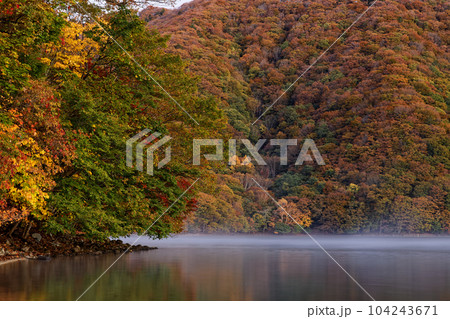 朝もや上がる紅葉の中禅寺湖畔の風景 104243671