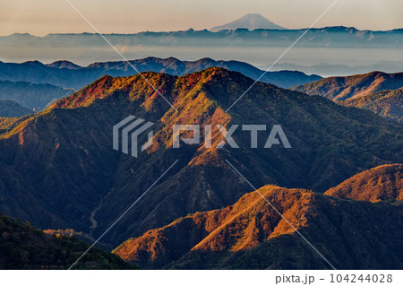 奥日光・社山稜線から見る紅葉の山並みと富士山遠望 104244028