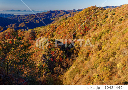 奥日光・社山稜線から見る紅葉の山並みと富士山遠望 104244494