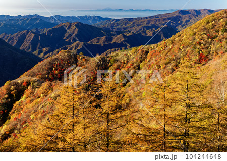 奥日光・社山稜線から見る紅葉の山並みと富士山遠望 奥日光・社山稜線から見る紅葉の山並みと富士山遠望 104244648