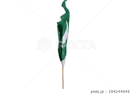 Pakistan's national flag flies in the sky. 104244848
