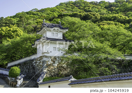 城下町龍野 龍野城 隅櫓 兵庫県たつの市 城下町龍野 龍野城 隅櫓 兵庫県たつの市 104245919