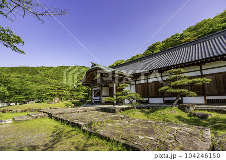 城下町龍野 龍野城 御殿 兵庫県たつの市 城下町龍野 龍野城 御殿 兵庫県たつの市 104246150