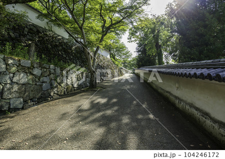 城下町龍野 龍野城 城壁 兵庫県たつの市 城下町龍野 龍野城 城壁 兵庫県たつの市 104246172