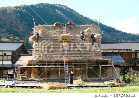 白川郷で毎年紅葉シーズン職人によって行われる茅葺屋根の葺き替え 白川郷で毎年紅葉シーズン職人によって行われる茅葺屋根の葺き替え 104246212