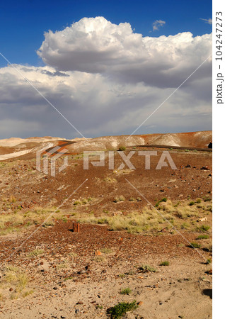 Rugged and Desolate Landscape Petrified Forest Arizona Rugged and Desolate Landscape Petrified Forest Arizona 104247273