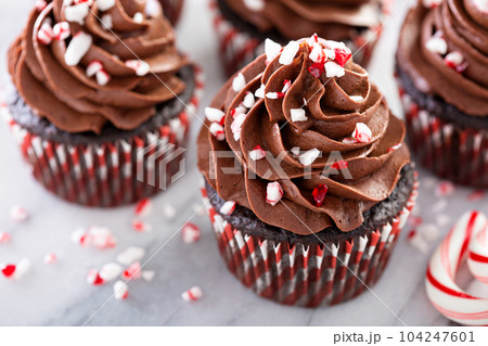 Chocolate peppermint cupcakes with candy cane Chocolate peppermint cupcakes with candy cane 104247601