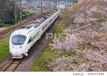 桜に包まれた特急ソニック、杵築~中山香の風景 桜に包まれた特急ソニック、杵築~中山香の風景 104247964