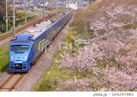 桜と共に走る特急ソニック 桜と共に走る特急ソニック 104247965
