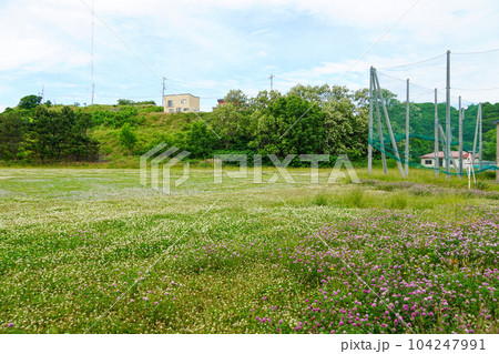留萌市立北光中学校（廃校）のグラウンド 104247991