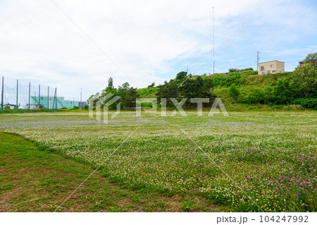 留萌市立北光中学校(廃校)のグラウンド 留萌市立北光中学校(廃校)のグラウンド 104247992