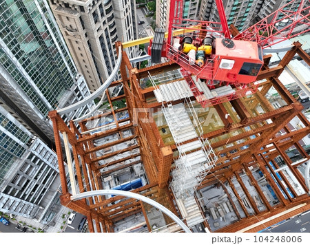 鶴 ツル つる 104248006