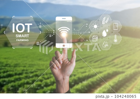 Smart Farming using IOT Internet Of Thinking technology and analysis with AI artificak intelligence help to improvement, research and development productivity of farming. Smart Farming using IOT Internet Of Thinking technology and analysis with AI artificak intelligence help to improvement, research and development productivity of farming. 104248065