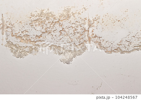 Indoor efflorescence on building wall 104248567