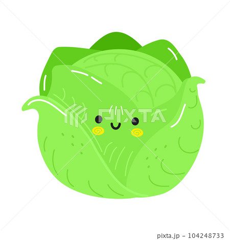 Cute funny Cabbage character. Vector hand drawn cartoon kawaii character illustration icon. Isolated on white background. Cabbage character concept 104248733