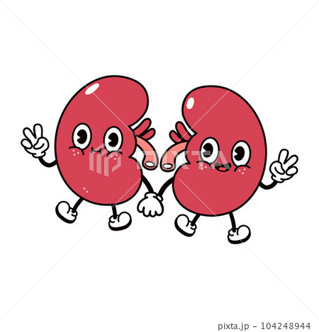 Kidneys waving hand character. Vector hand drawn traditional cartoon vintage, retro, kawaii character illustration icon. Isolated on white background. Kidneys character concept 104248944