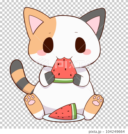 calico cat and watermelon 104249664