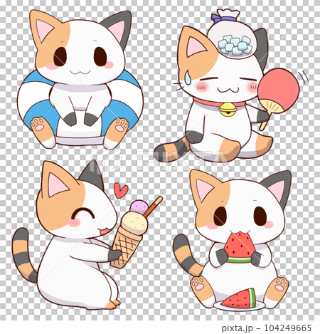 calico summer set 104249665