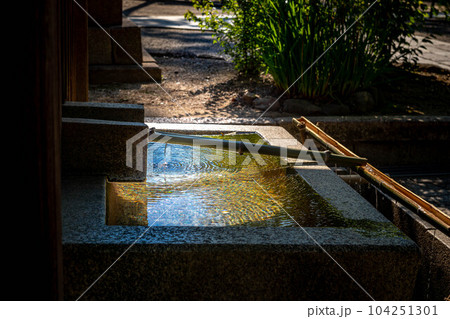 今宮神社の初夏、光を集め波紋が輝く「お玉の井」 104251301