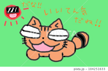 目が大きい猫のいい天気 104251633