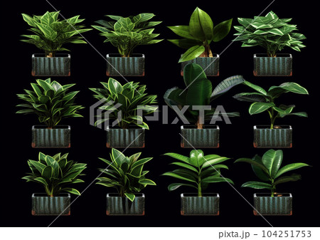 The ai-generated image shows a variety of air-purifying plants arranged in pots. Place the image vertically. with black background 104251753