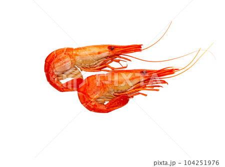 Cooked prawn or shrimp Cooked prawn or shrimp 104251976