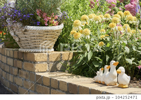 オープンガーデンに咲く花々 オープンガーデンに咲く花々 104252471