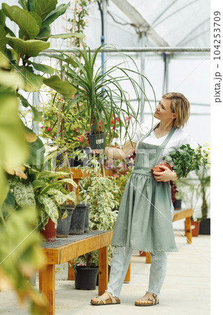 Portrait of smiling young botanist holding a fresh flower plant. Young woman holding small tree in pot in gardening center. Successful botanist and store owner. Portrait of smiling young botanist holding a fresh flower plant. Young woman holding small tree in pot in gardening center. Successful botanist and store owner. 104253709