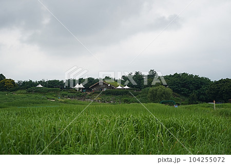 the park scenery 104255072