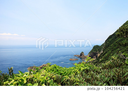 水平線の見える佐多岬 104256421