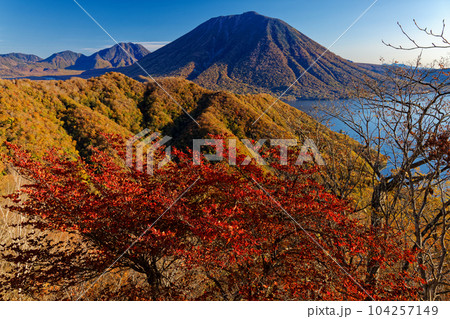 紅葉の奥日光・社山稜線から見る男体山 紅葉の奥日光・社山稜線から見る男体山 104257149
